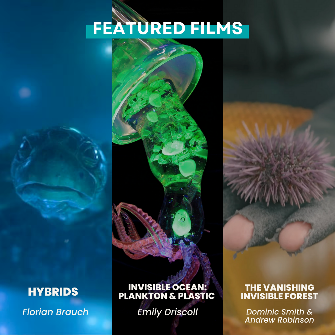 Graphic separated into three sections vertically, with images from the films Hybrids, Invisible Ocean: Plankton & Plastic, and The Vanishing Invisible Forest (from left to right).